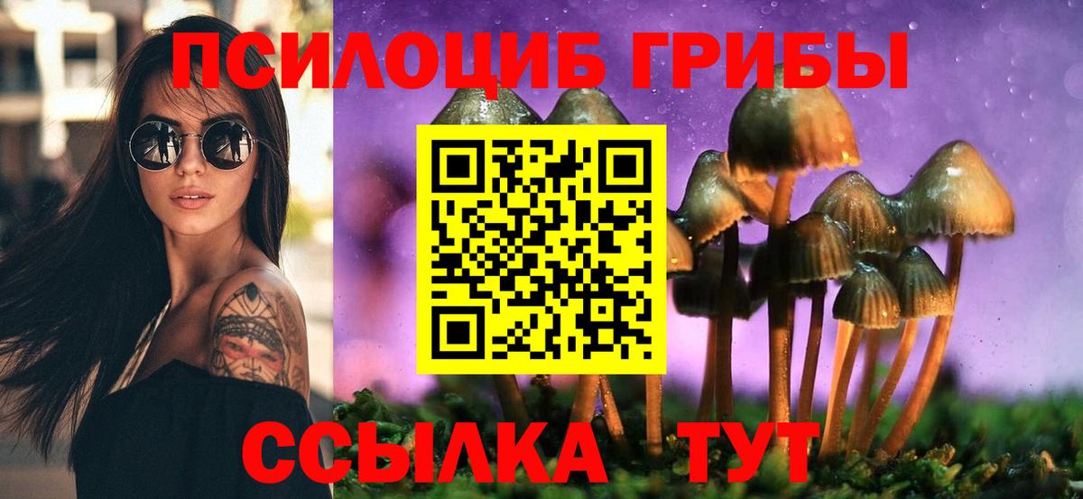 Мыски  как найти закладки  Вход с VPN  Галлюциногенные грибы мицелий 